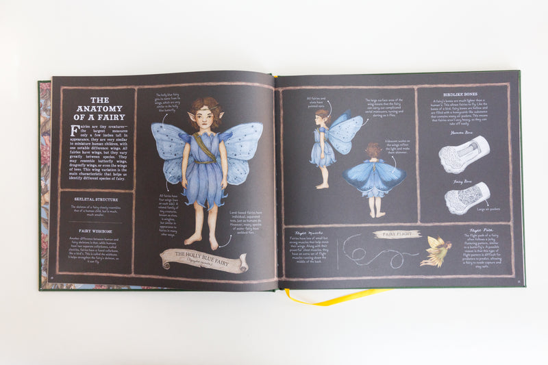 A Natural History of Fairies children's book by Emily Hawkins and illustrated by Jessica Roux