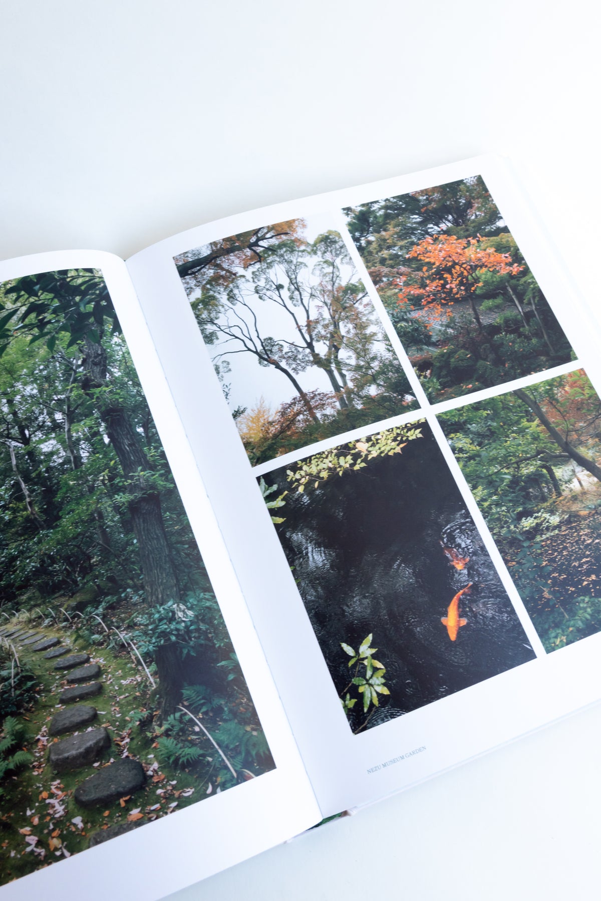 TheAvantGardens-book-14_1200x.