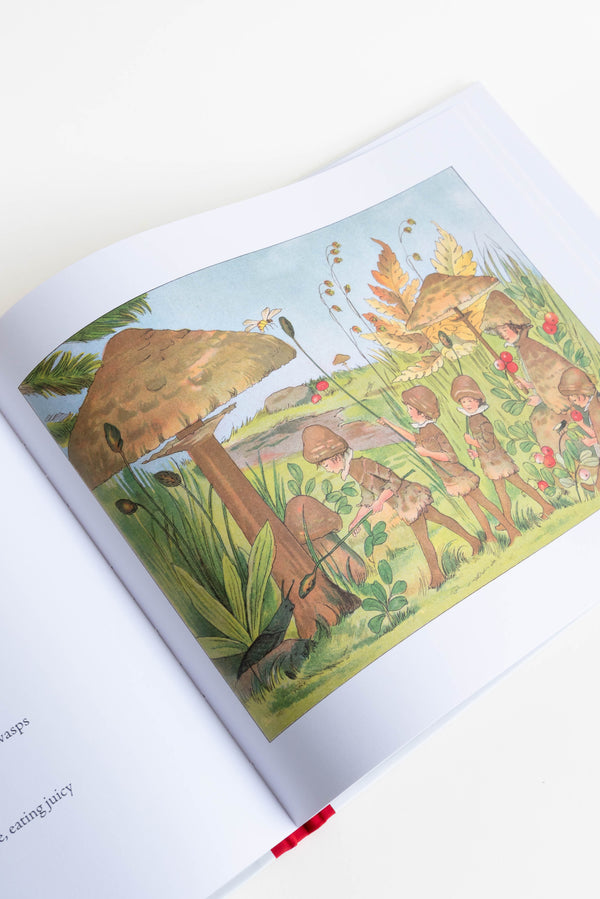 Steiner Books Tales of the Mushroom Folk