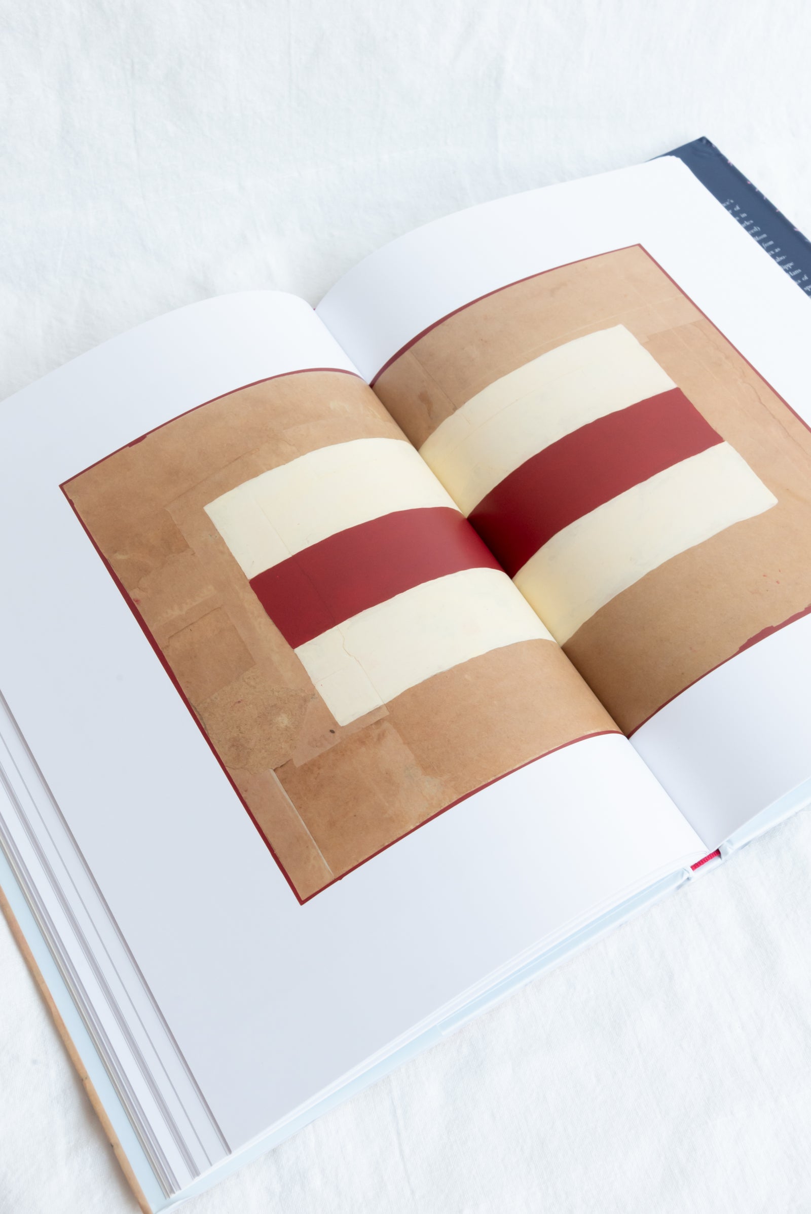Tantra Song アートブック Tantra Song ARTBOOK | D.A.P. 2011 Catalog Books Exhibition