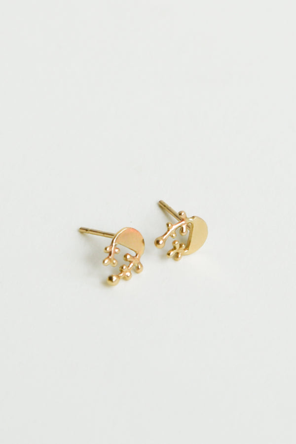 Linn Designs Sprout studs