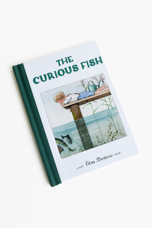 The Curious Fish Mini