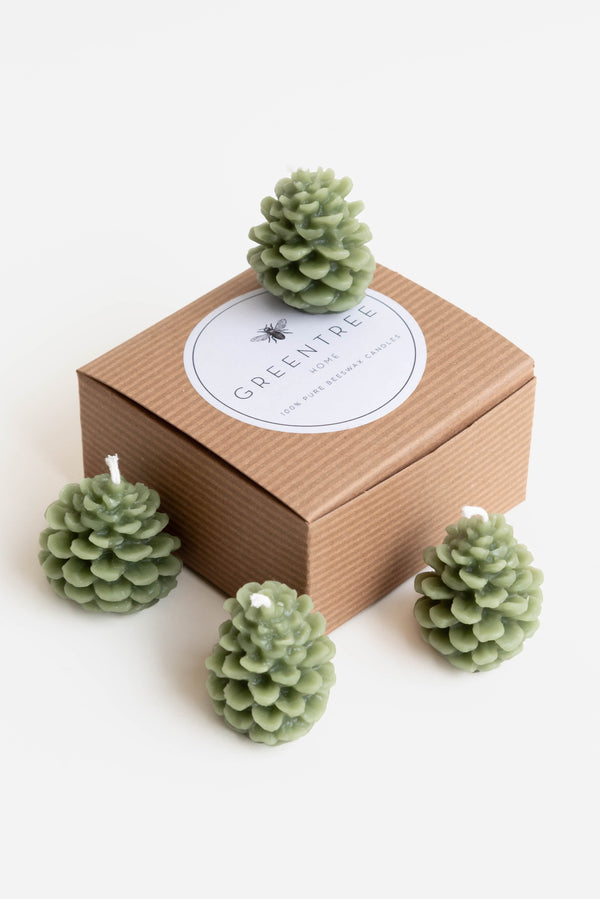 Greentree House Wee Cone Set