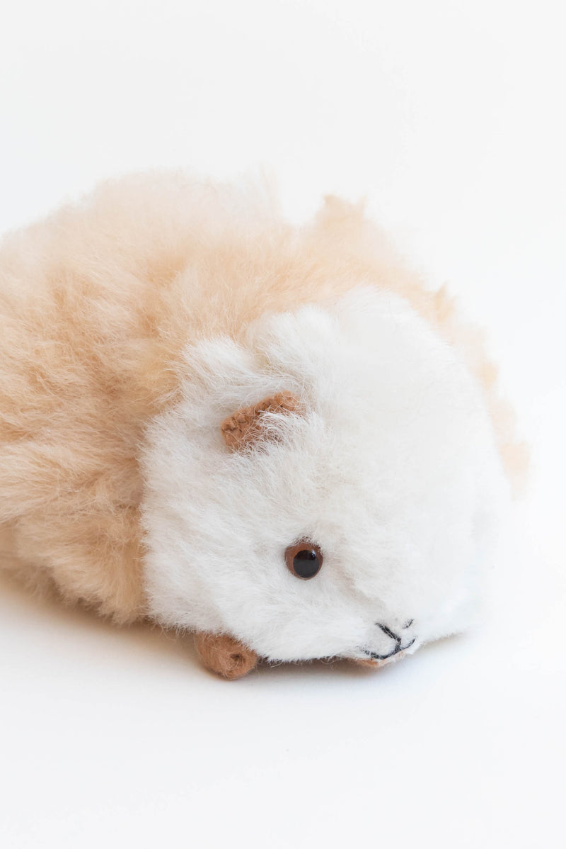 Inspired Peru Guinea Pig