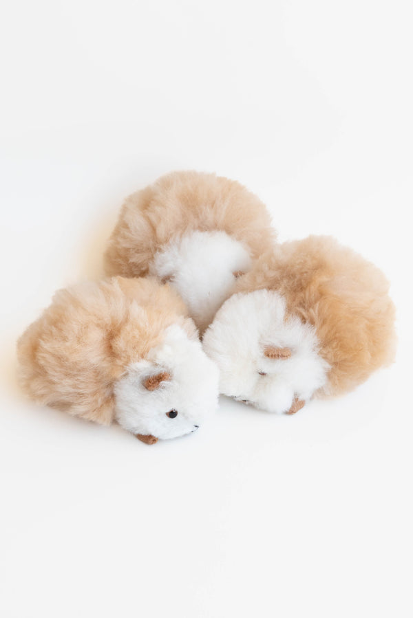 Inspired Peru Guinea Pig