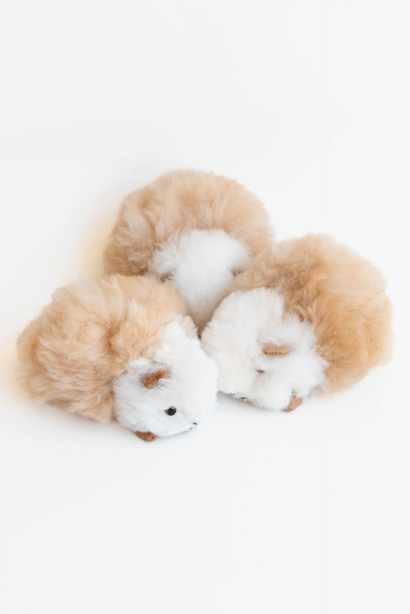 Inspired Peru Guinea Pig