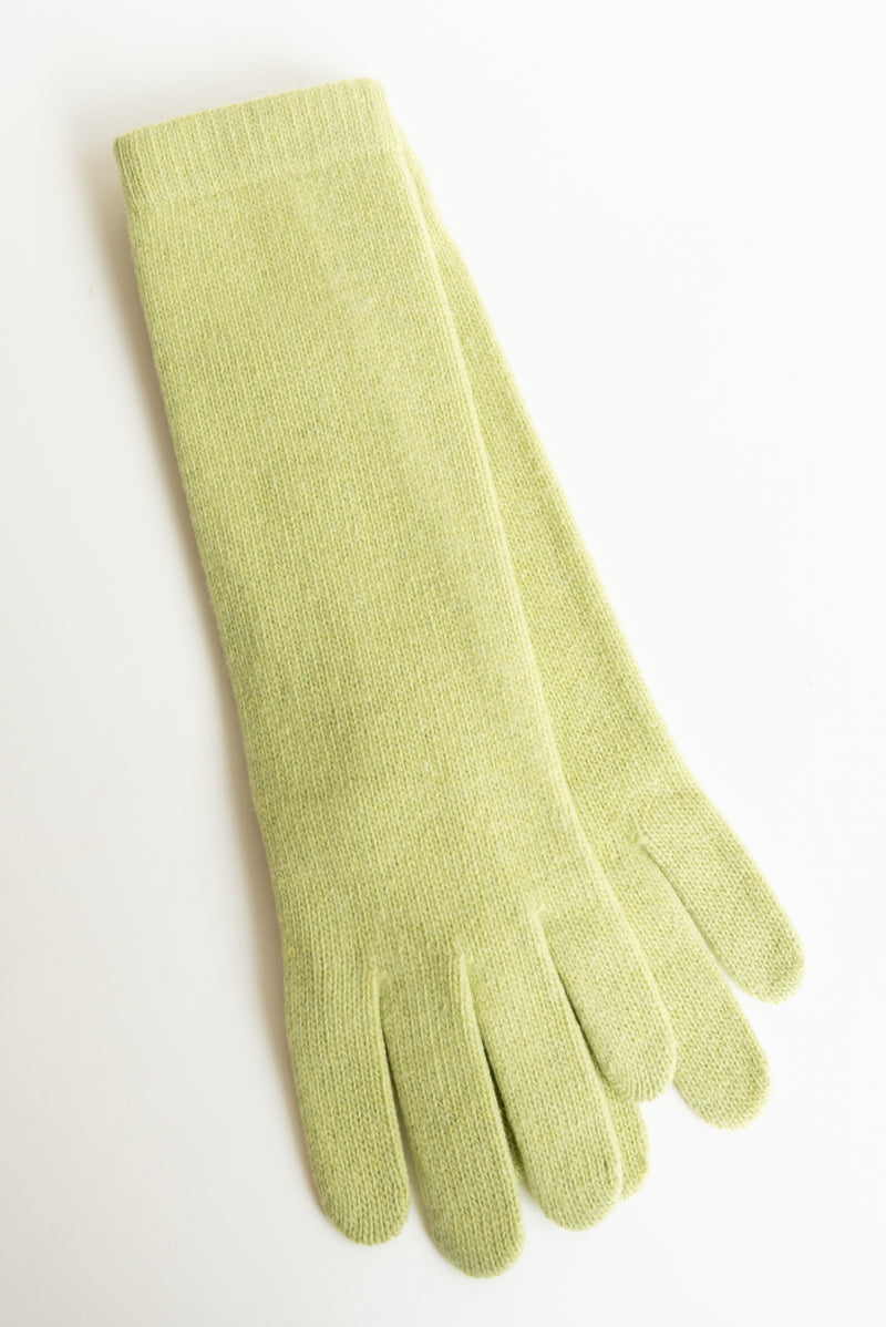 Portolano 13" Cashmere Gloves