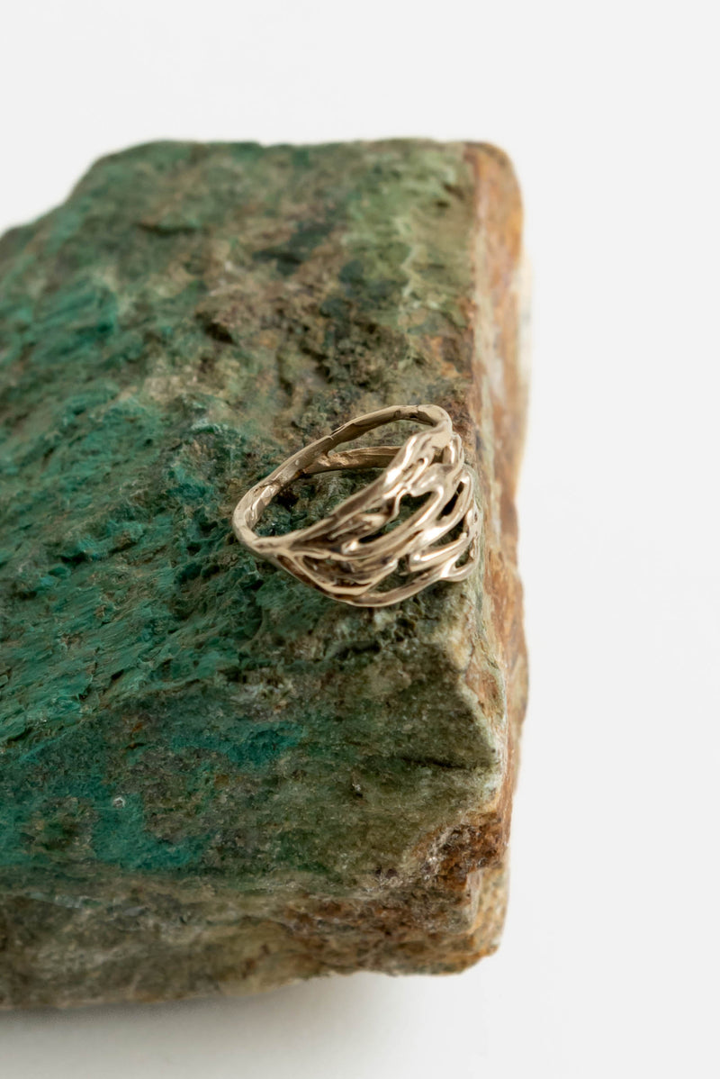 Renee Frances Double Leaf Ring in Brass