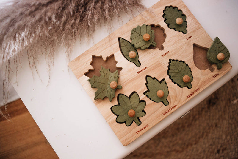 QToys USA - Montessori Leaf Puzzle