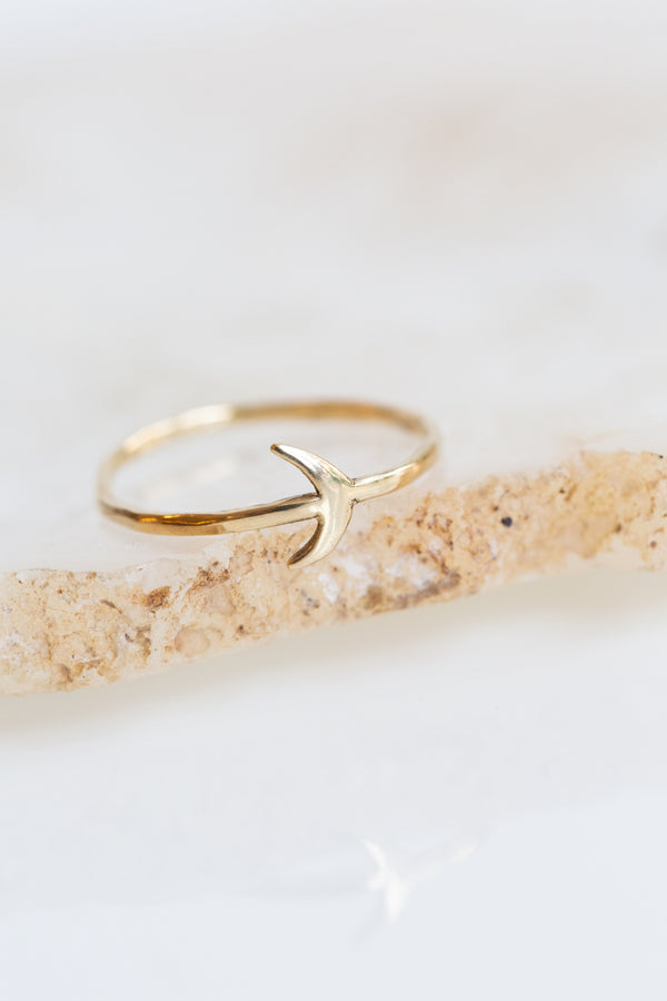 Moon+Arrow's fine jewelry crescent moon ring in 10kt yellow gold