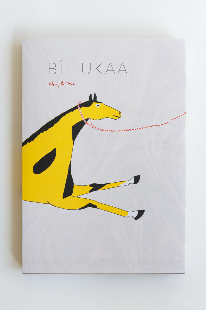 Wendy Red Star: Bíilukaa, a book exploring the symbolism and material culture of the Apsáalooke (Bíilukaa) Nation