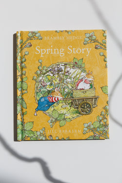 Spring Story By Jill Barklem