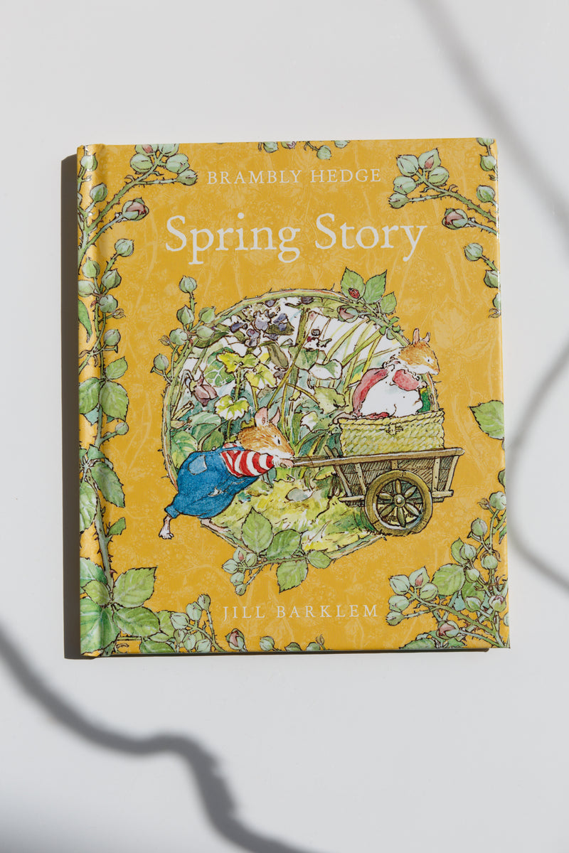 Spring Story By Jill Barklem