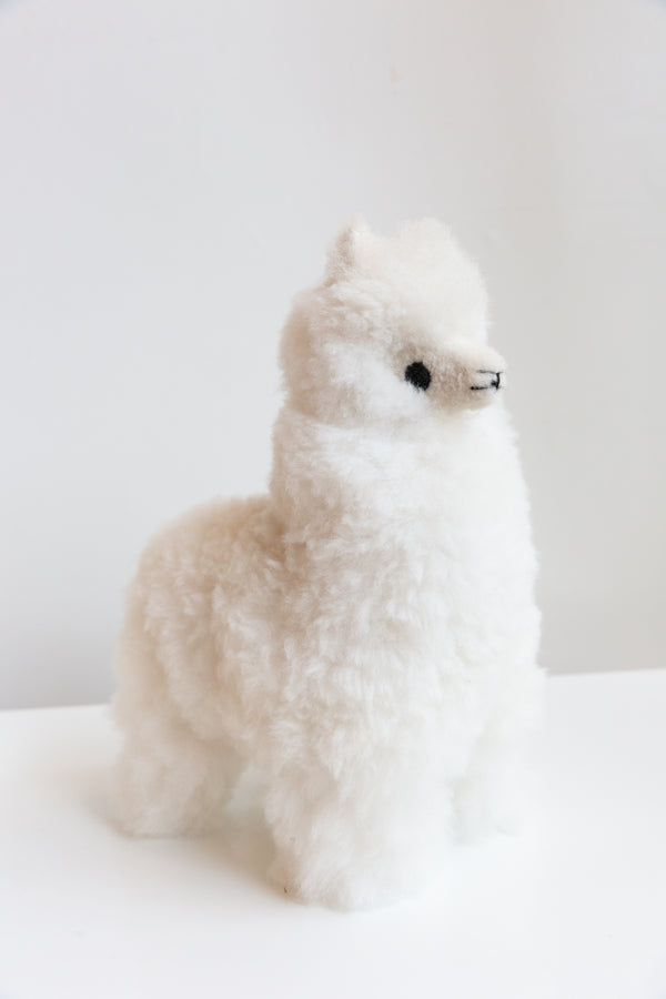 Inspired Peru Medium Alpaca