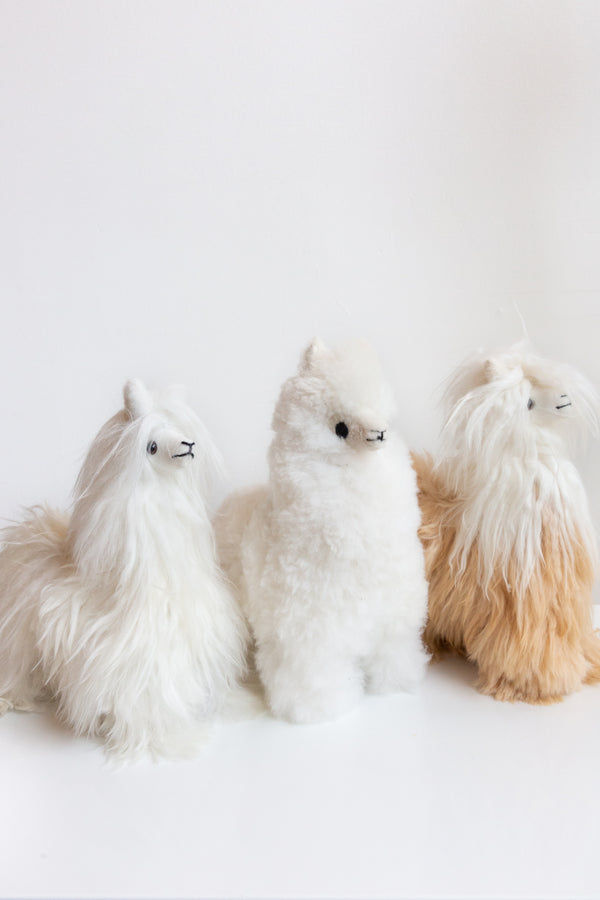 Inspired Peru Medium Alpaca