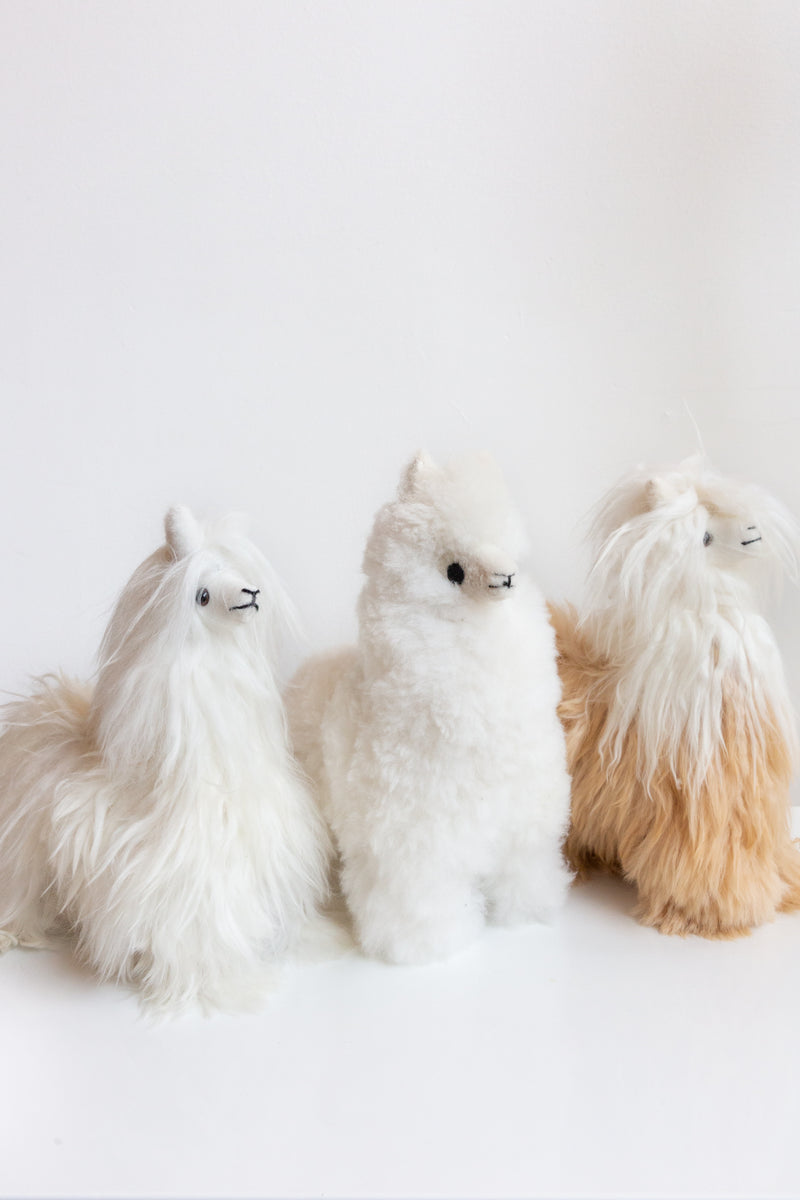 Inspired Peru Medium Alpaca