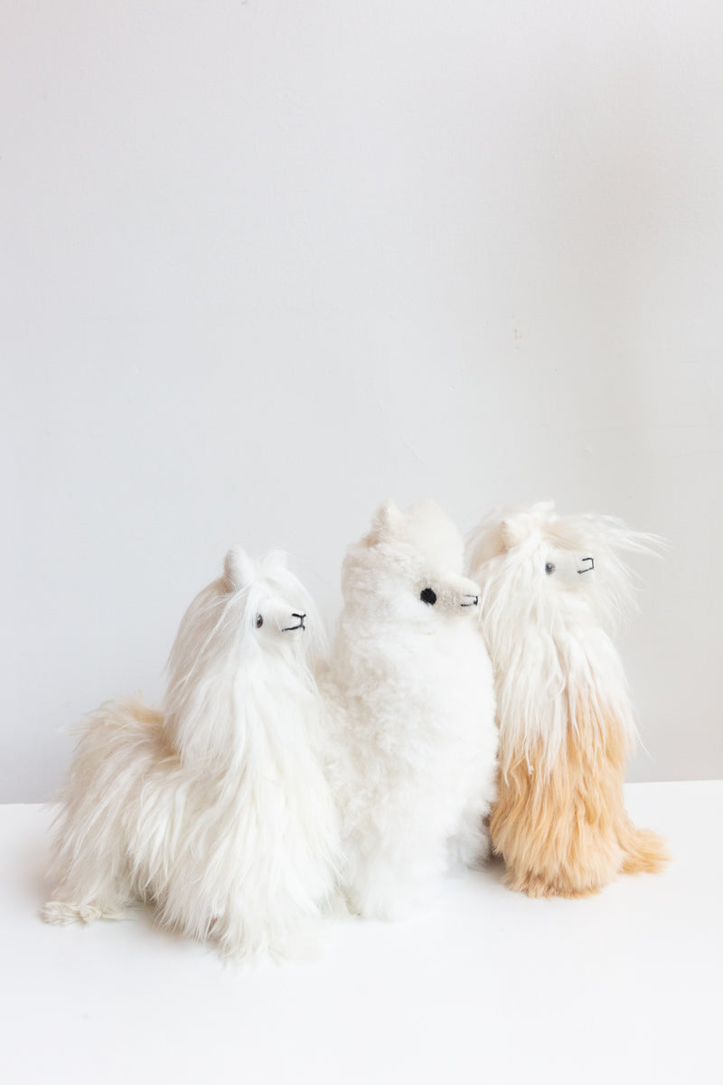 Inspired Peru Medium Alpaca