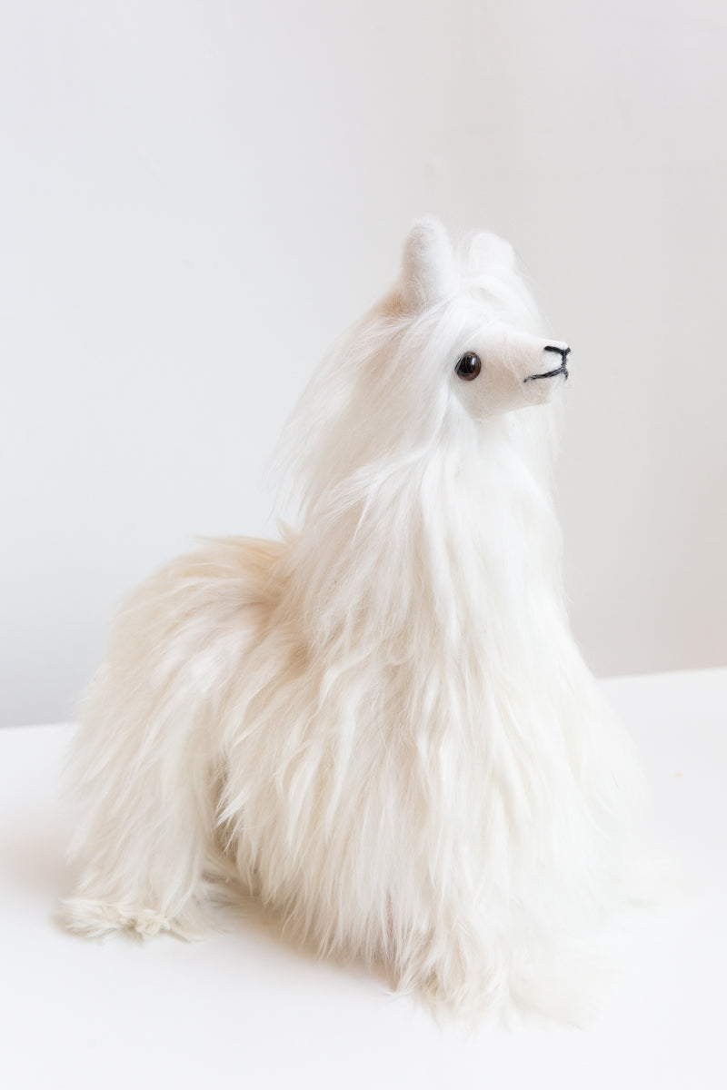 Inspired Peru Medium Alpaca