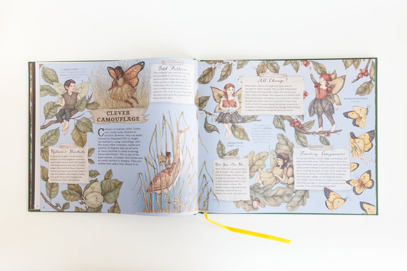 A Natural History of Fairies children's book by Emily Hawkins and illustrated by Jessica Roux
