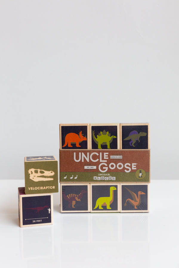 Uncle Goose Dinosaur Blocks